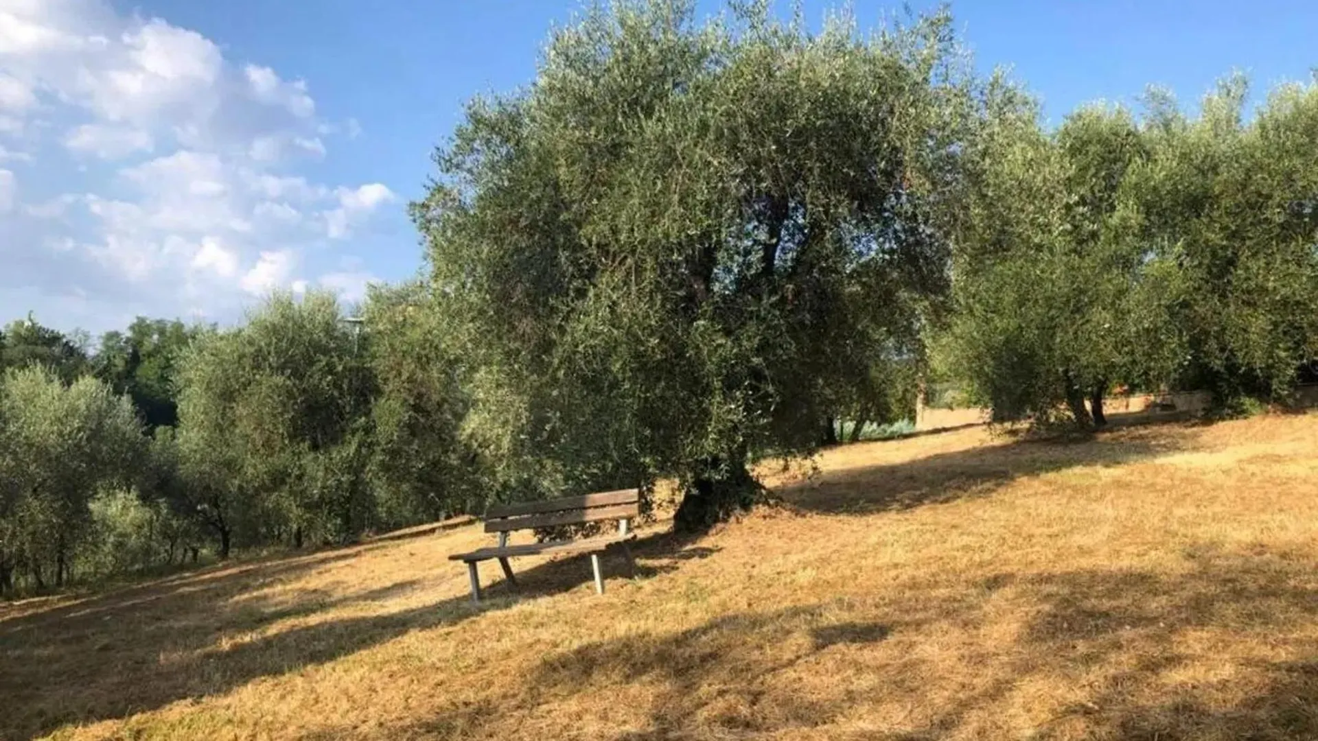 Charming Apartment With City View In Siena 80 Sqm + Parking 0*,  Itália